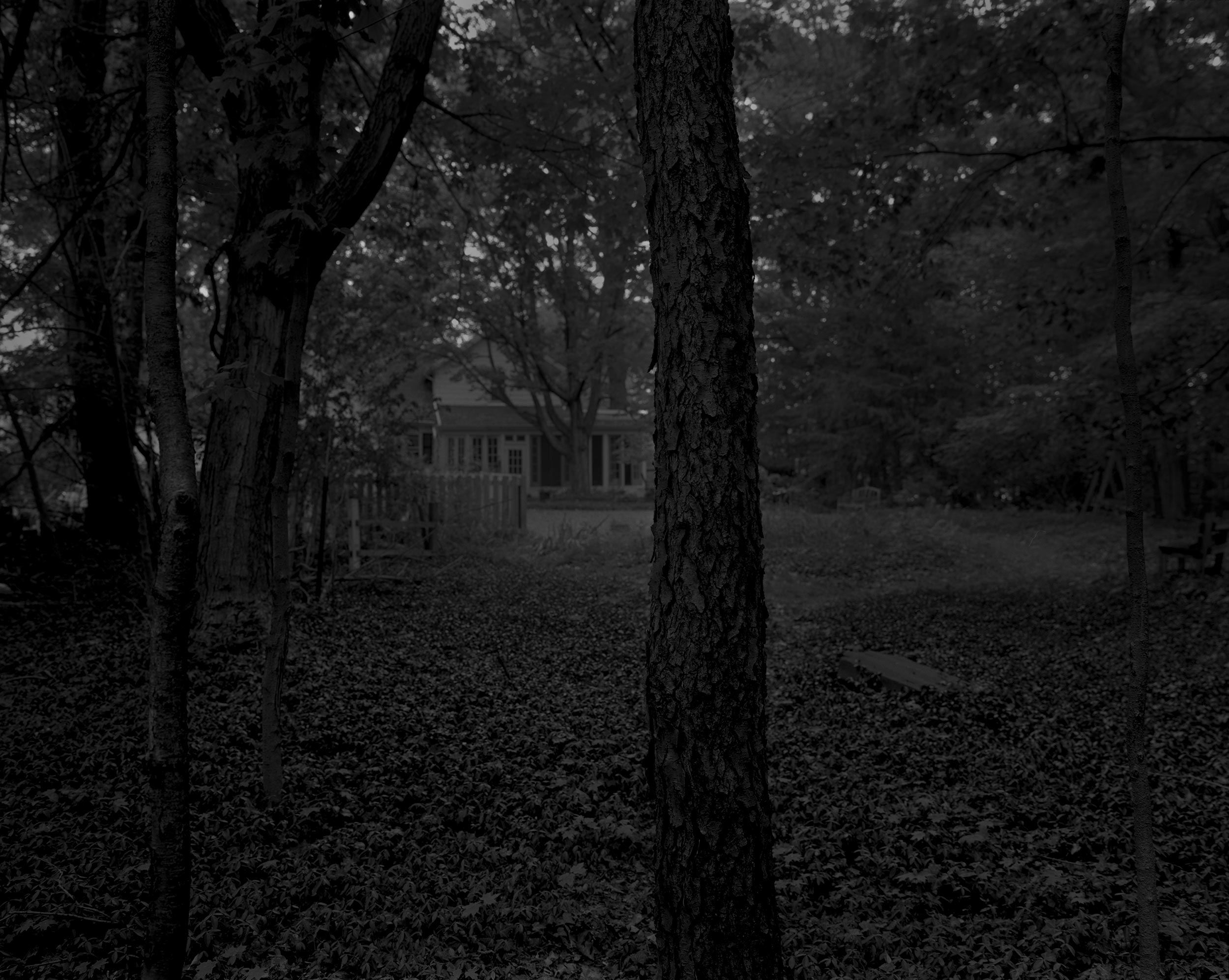 Dawoud Bey, Untitled #2 (Trees and Farmhouse).