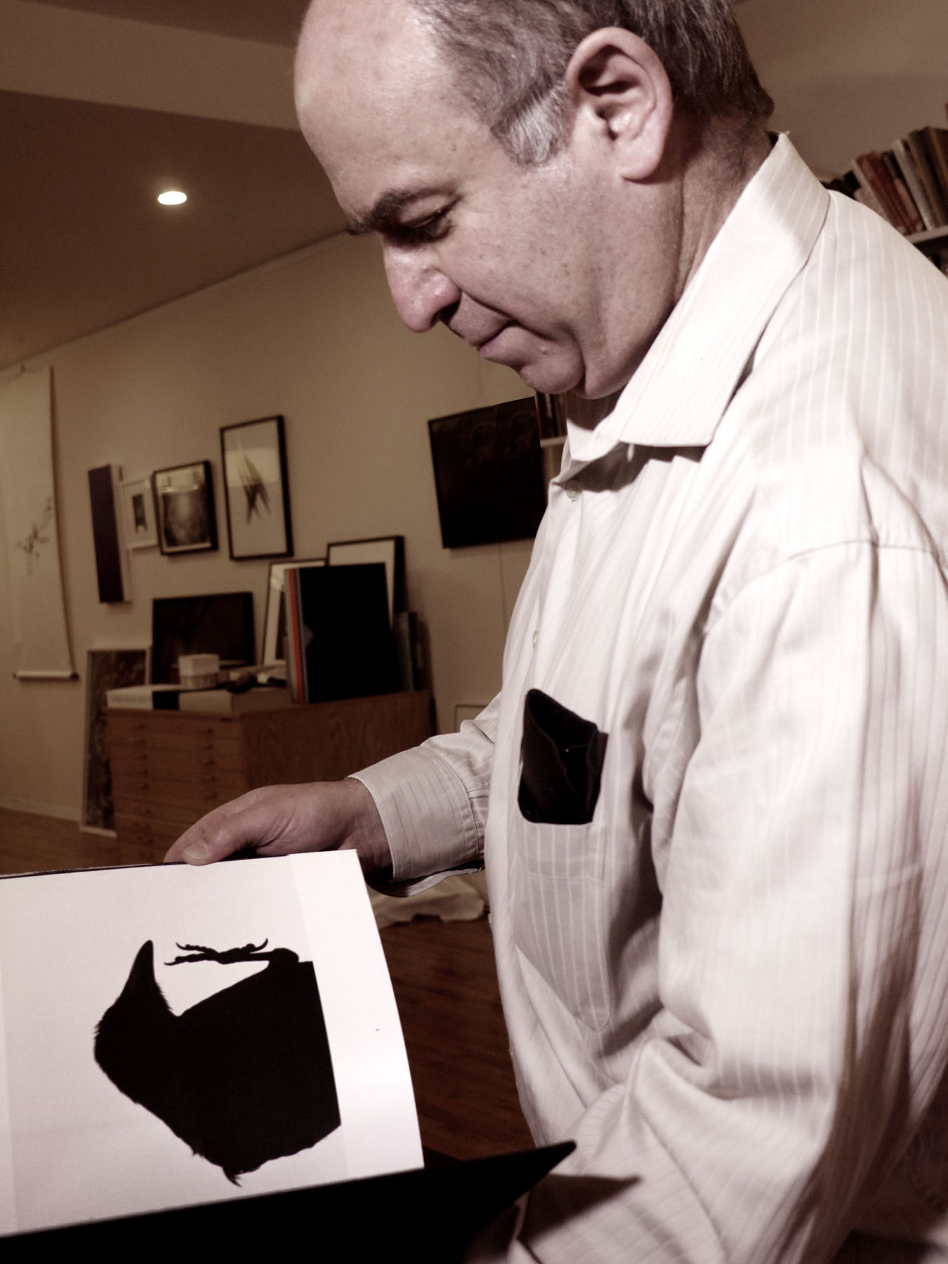 David Solo looks at Ravens. Photo by Barbara Confino. 