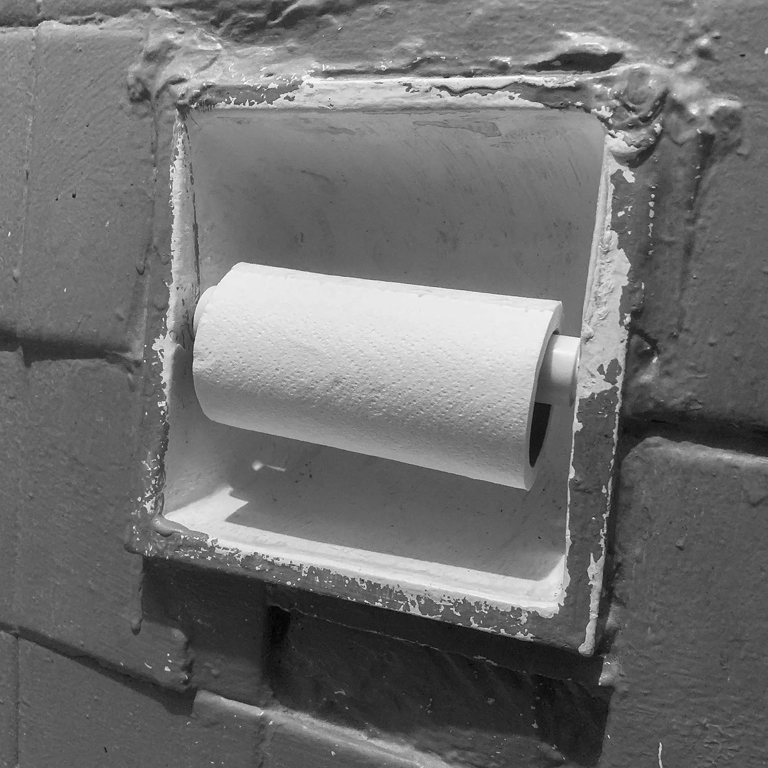 A picture of toilet paper.