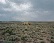 Bus stranded on at open field